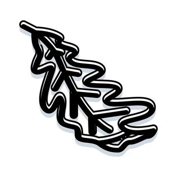 Oak leaf line art vector illustration 스톡 일러스트