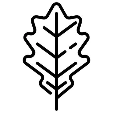Oak Leaf Line Icon Vector with Editable Stroke Stock Illustration
