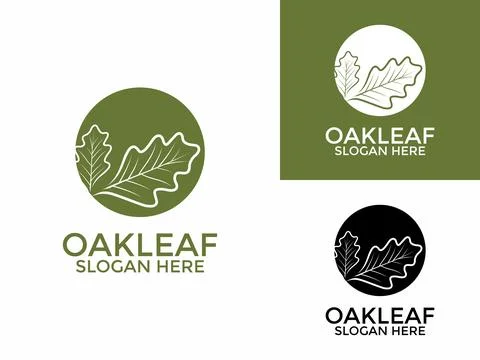 Oak leaf logo design illustration vector template, Green Oak Leaves logo de.. Stock Illustration