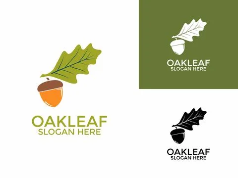 Oak leaf logo design illustration vector template, Green Oak Leaves logo de.. Stock Illustration