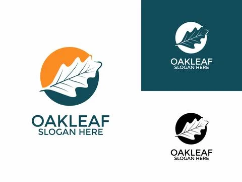 Oak leaf logo design illustration vector template, Modern Oak Leaves logo d.. Illustrazione stock