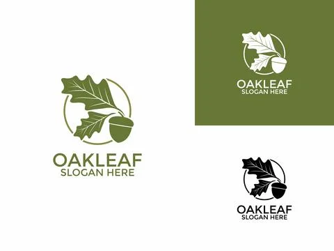 Oak leaf logo design illustration vector template, Green Oak Leaves logo de.. Illustrazione stock