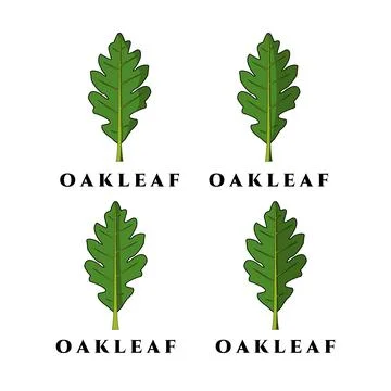 Oak leaf logo vector illustration design, set logo Stock Illustration