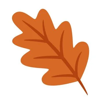 Oak Leaf in Orange Color on White Background Showing the Shape and Details .. Stockillustratie