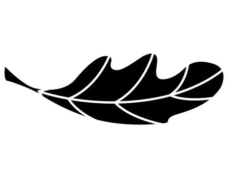 Oak leaf part of plant - vector silhouette picture for logo, pictogram Stock-Illustration