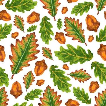 Oak leaf pattern イラスト素材