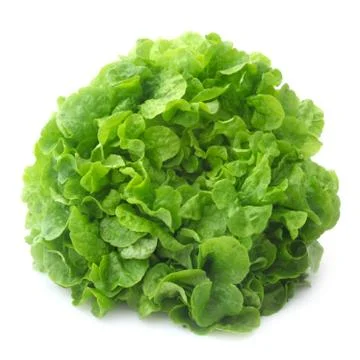 Oak Leaf Salad Stock Photos