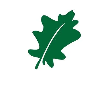 Oak leaf vector design template 스톡 일러스트