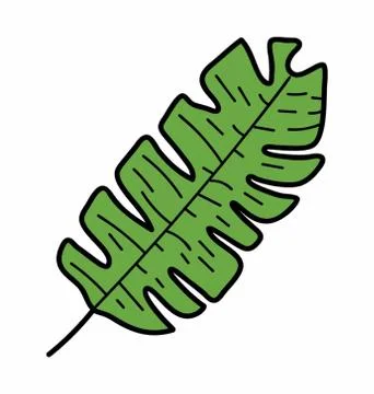 Oak Leaf Vector Stock Illustration