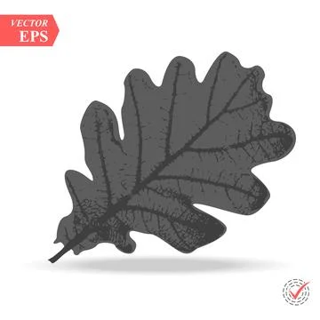 Oak Leaf vector. Modern vector pictogram for web graphics - stock vector Stock Illustration