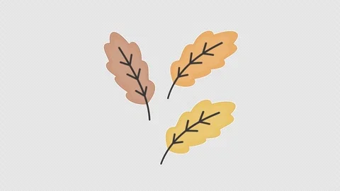 Oak leaves Vidéo 337249803
