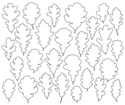 Oak leaves silhouettes set isolated on white background vector Stock Illustration