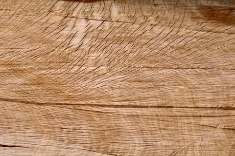 Oak log section with cracks and saw marks Stock Photos