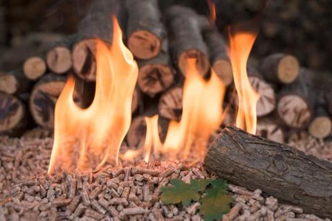Oak pellets in fire Stock Photos