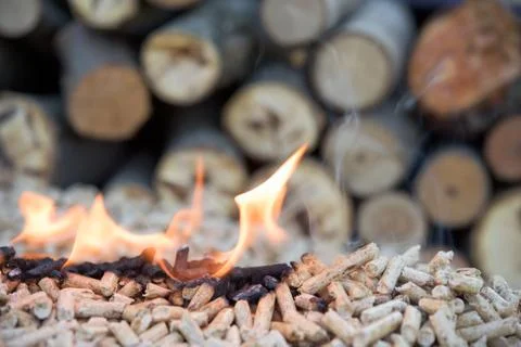 Oak pellets in flames Stock Photos