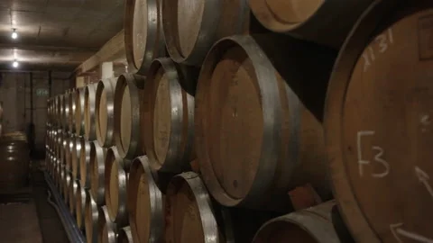 Oak Red Wine Barrels in cellar slow motion Stock Footage 169568891