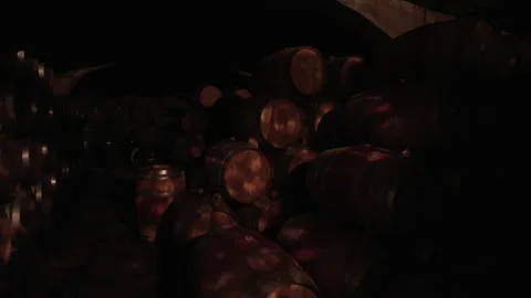 Oak red Wine Barrels fermentation in cellar light reflection Stock Footage 169570122