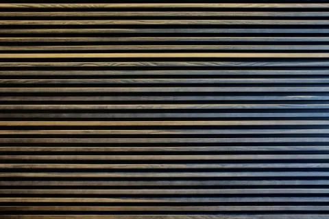 Oak series Stock-Fotos