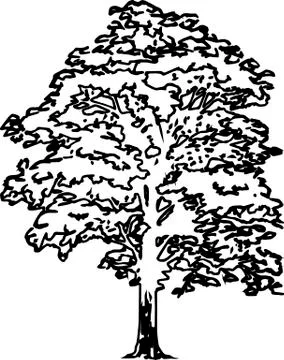 Oak silhouette vector Stock Illustration