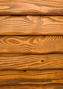 Oak texture Stock Photos