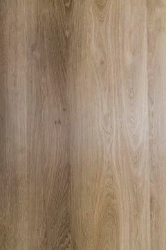 Oak texture Stock Photos