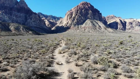 Oak Trail Hiking Stock Footage 106902675