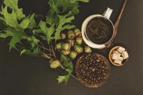 Oak tree acorns coffee background Фото