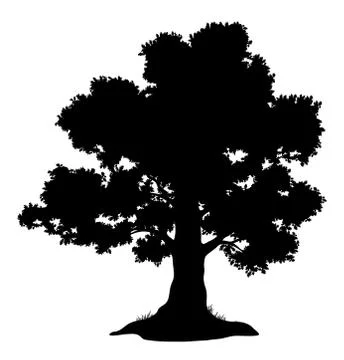Oak tree and grass, silhouette Stock Illustration