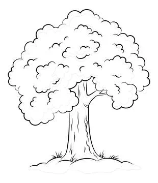Oak Tree Contours Stock Illustration