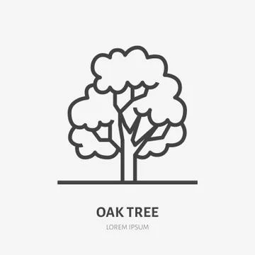 Oak tree flat line icon. Vector thin sign of park plant, ecology logo. Nature Stock Illustration