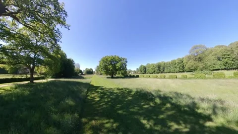 OAK TREE Stock Footage 277793593