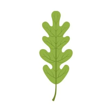 Oak tree green leaf vector Illustration Illustrazione stock
