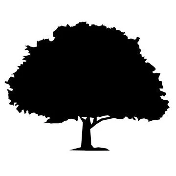 Oak tree icon on white background. tree silhouette. oak tree logo. flat style Stock Illustration