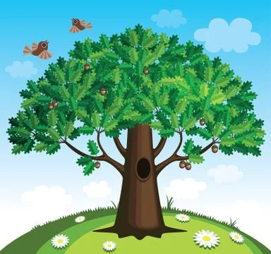 Oak tree Stock-Illustration