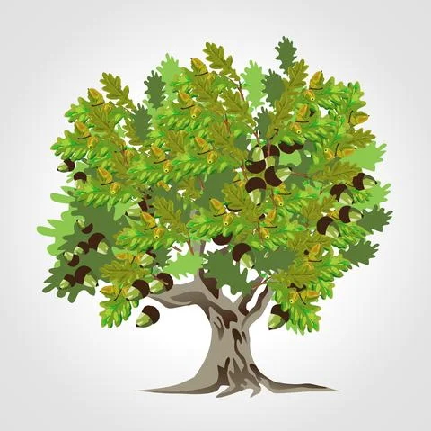 Oak tree isolated illustration Illustrazione stock