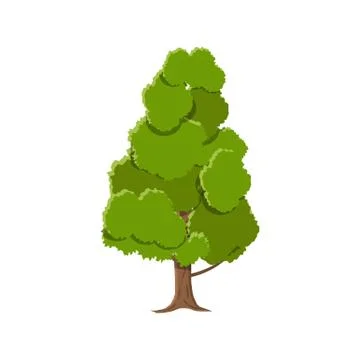 Oak tree isolated on white Stock Illustration