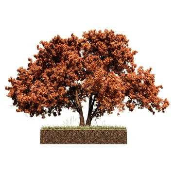 Oak tree isolated on white Stock Illustration