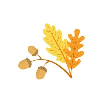 Oak Tree Leaf And Acorns As Autumn Attribute Stock Illustration