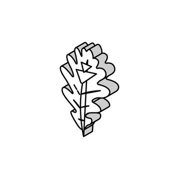 Oak tree leaf isometric icon vector illustration Stock Illustration