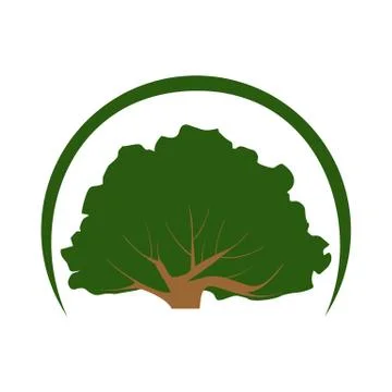 Oak, tree, leaf logo design Stock Illustration