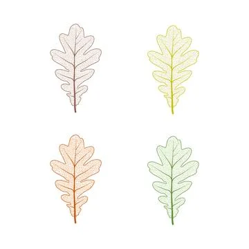 Oak tree leaf set. Autumn leaves isolated vector illustration on white Stock Illustration