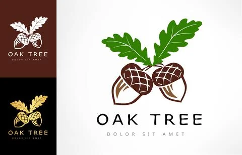 Oak tree logo. Acorn  vector. Stock Illustration