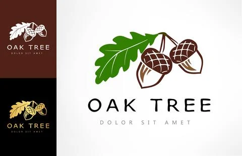 Oak tree logo. Acorn  vector. Stock Illustration