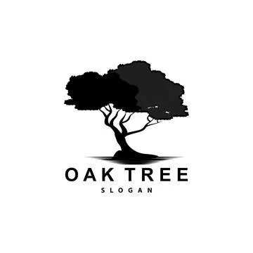 Oak Tree Logo, Nature Tree Plant Vector, Minimalist Simple Design, Illustra.. Stock Illustration