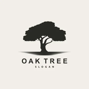 Oak Tree Logo, Nature Tree Plant Vector, Minimalist Simple Design, Illustra.. Stock Illustration