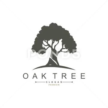 Oak Tree Logo, Nature Tree Plant Vector, Minimalist Simple Design ...