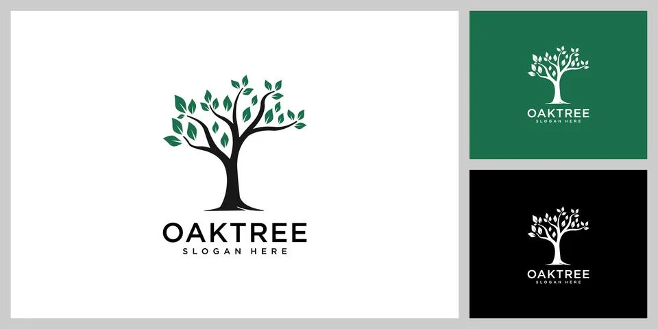 Oak tree logo vector design template Stock Illustration