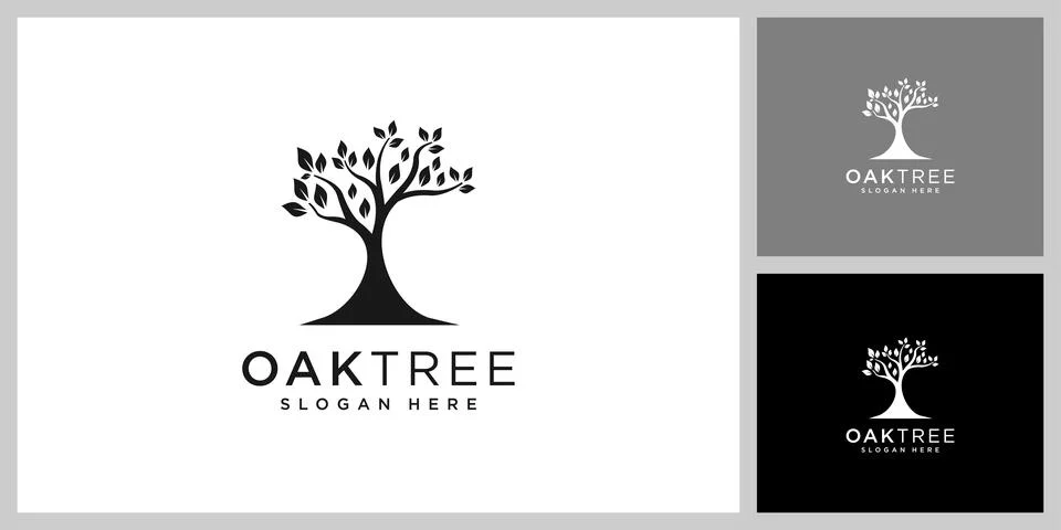 Oak tree logo vector design template Stock Illustration
