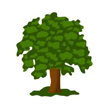 Oak tree with lush crown, flat style vector 스톡 일러스트