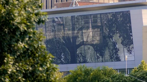 Oak Tree Moving Sculpture Window Video stock 115948015